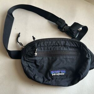 Patagonia Mini Hip Pack